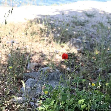 Διαμέρισμα Nikola Luxury Borik *