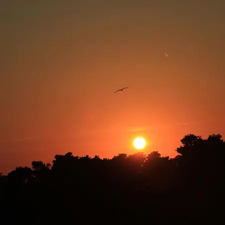 Nikola Luxury Borik Apartment